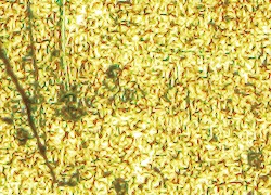 product_gx53_observation_14_rev.jpg